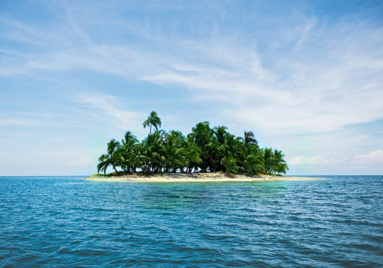 island, vacations, caribbean, palm trees, sand, sea, blue, quiet, beach, lonely, small, landscape, coast, water, nature, summer, island, island, island, island, island-2482200.jpg